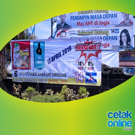120 x 300 cm