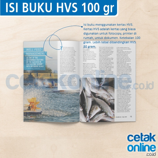 HVS 100