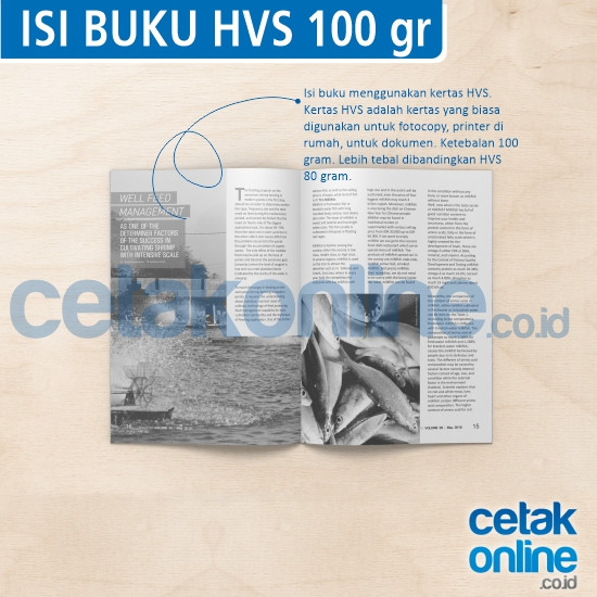 HVS 100