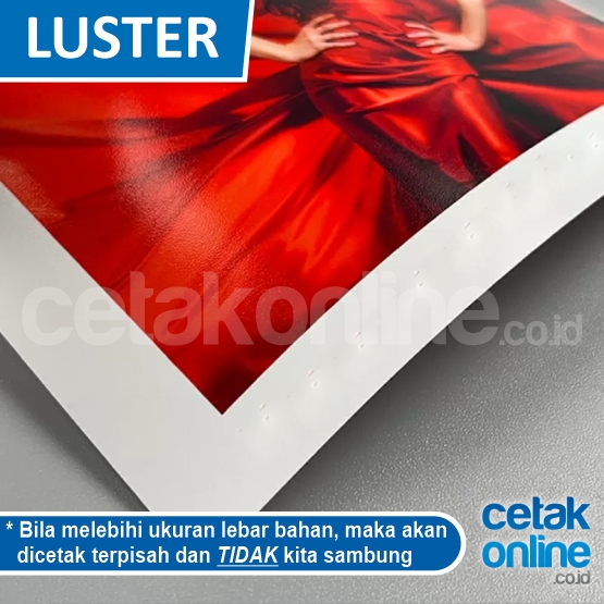 Print Luster Indoor Ecosolvent 