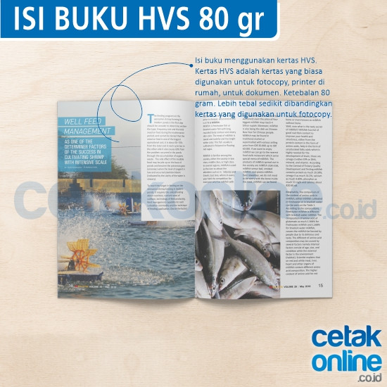 HVS 80