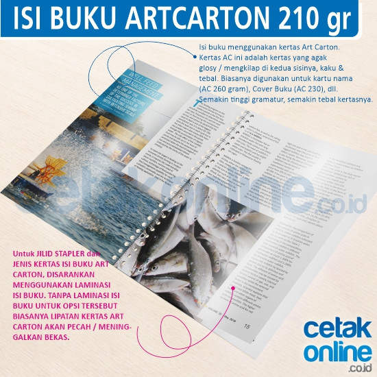 ArtCarton 210