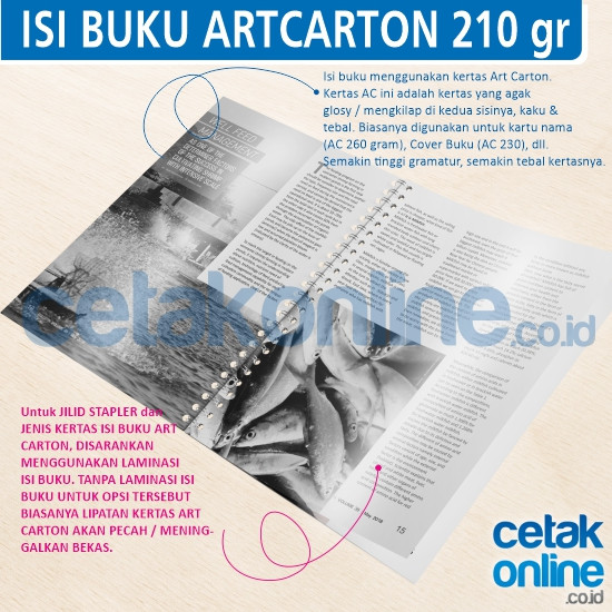 ArtCarton 210