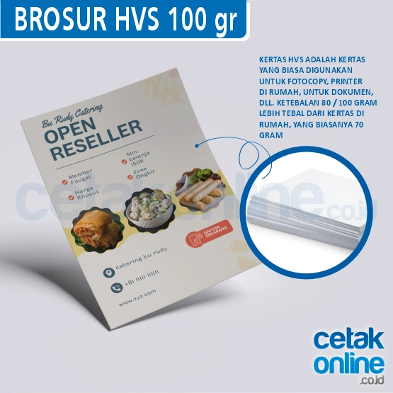 HVS100