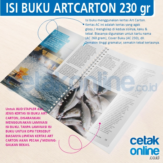 ArtCarton 230