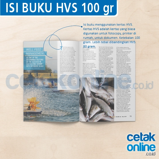 HVS 100