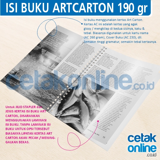 ArtCarton 190