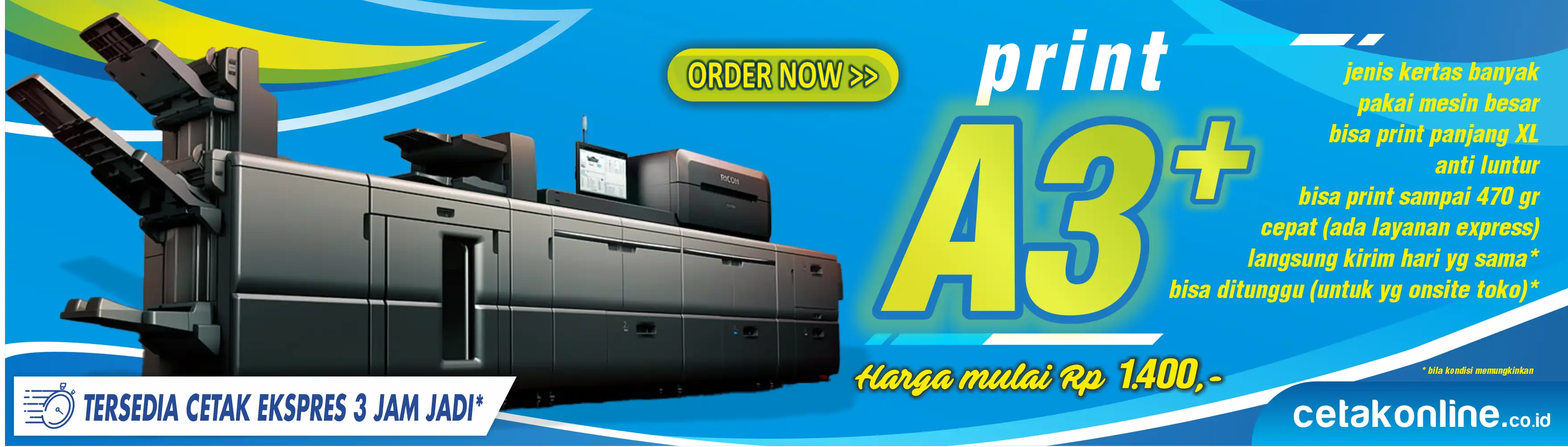Print A3+